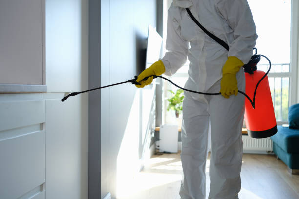 Best Fast Mold Removal  in West Peoria, IL